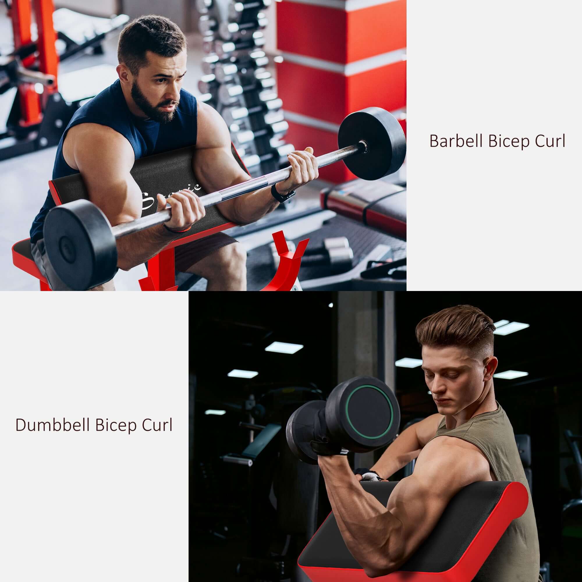 265 lbs adjustable preacher curl bench for bicep strength training with barbell and dumbbell arm isolation station in red